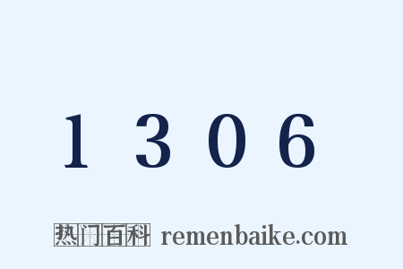 1306是什么意思的图片